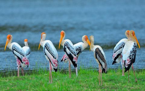 @https://bundalanationalpark.org/