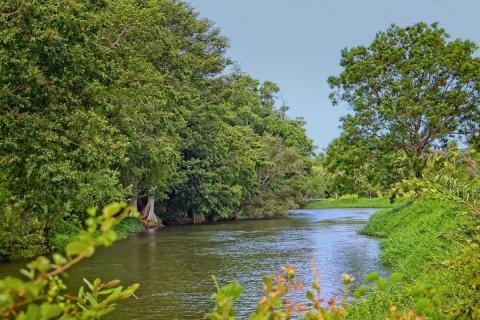 @https://www.holidify.com