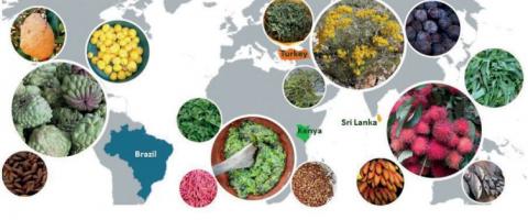 Conserving, Biodiversity