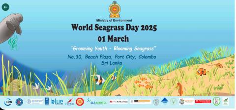 World Sea Grass Day