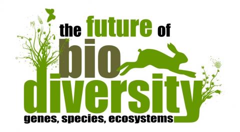 Biodiversity Biodiversity