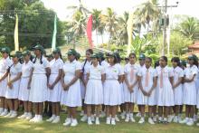 Opening Butterfly Garden