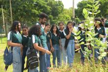 Opening Butterfly Garden