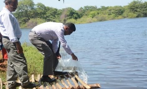 Re-introduction Labeo lankae to Thubikulama Tank by Secretary,  Ministry of Environment  